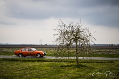 MG_3453