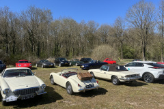 cIMG_2254